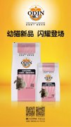 奧丁精品幼貓糧閃耀登場?。?！