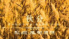 秋分丨晝夜分畫，漸入秋華